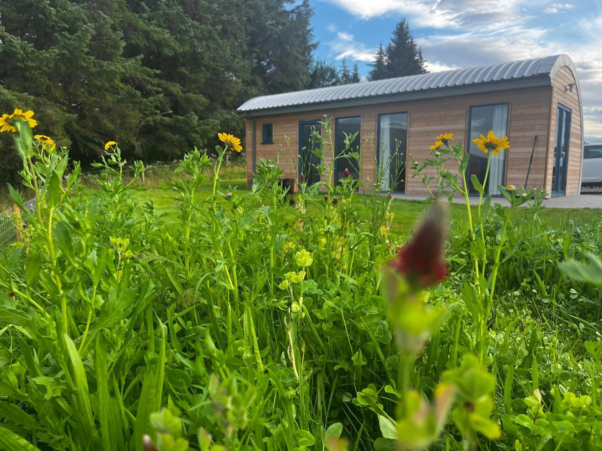 Ceo Mara Croft B&B & 2 Luxury Cabins Taynuilt Exteriör bild